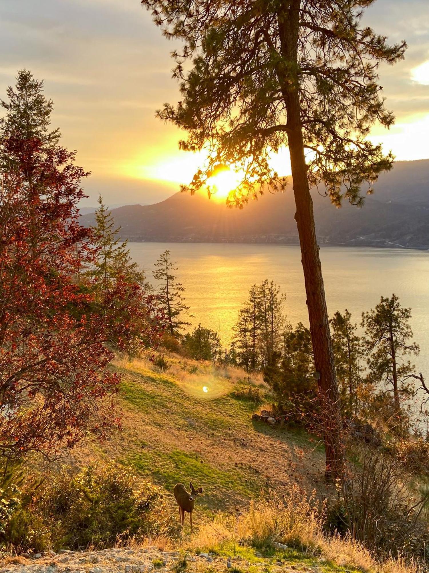 Kelowfornia Lakeview Retreat Келоуна Екстер'єр фото